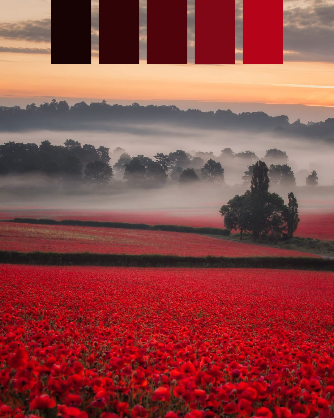 The November Bouquet