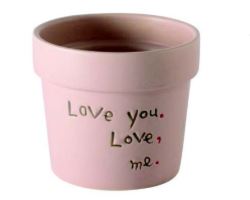 Love You, Love Me Pot