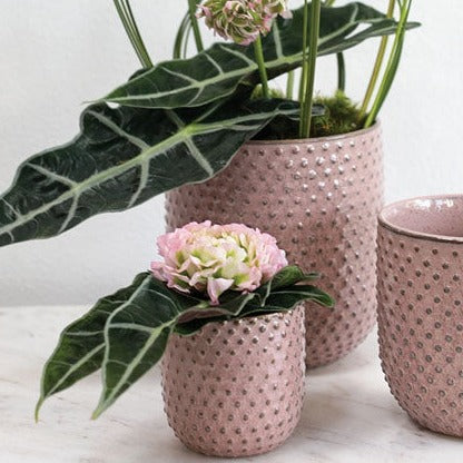 Pink Everly  3D Dotted Pot
