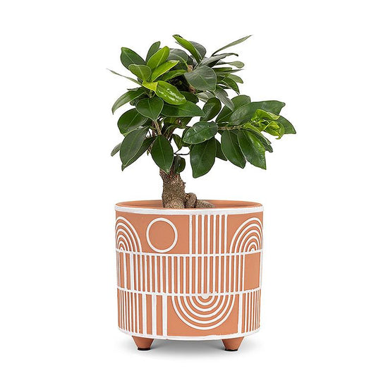 Arch and Line Terracotta Pot