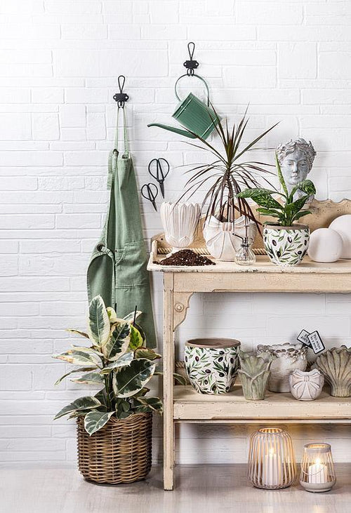 Bow Planter