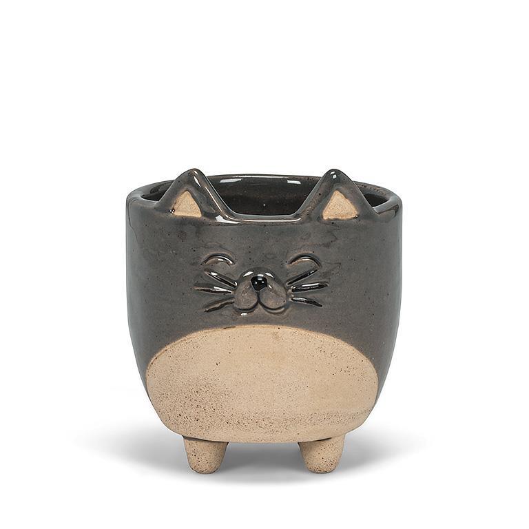 Cat on Legs Pot with Succulent