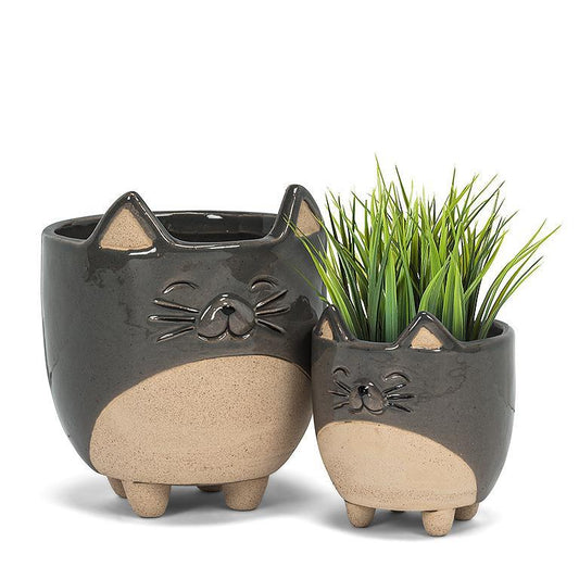 Cat on Legs Pot with Succulent