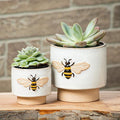 Emboss Bee Pot