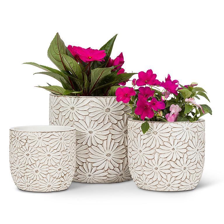 Round Daisy Planters