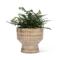 Dotted Pedestal Cement Pot