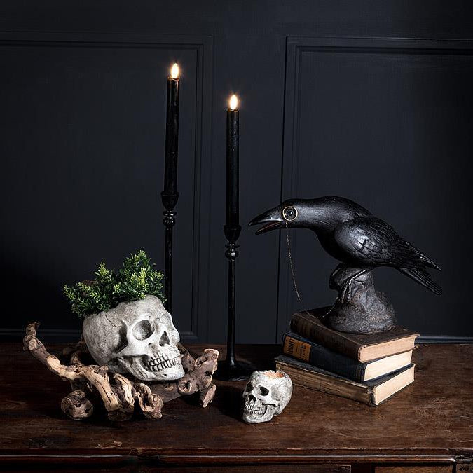 Skull Planter