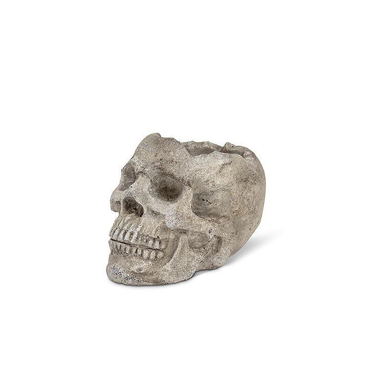 Skull Planter