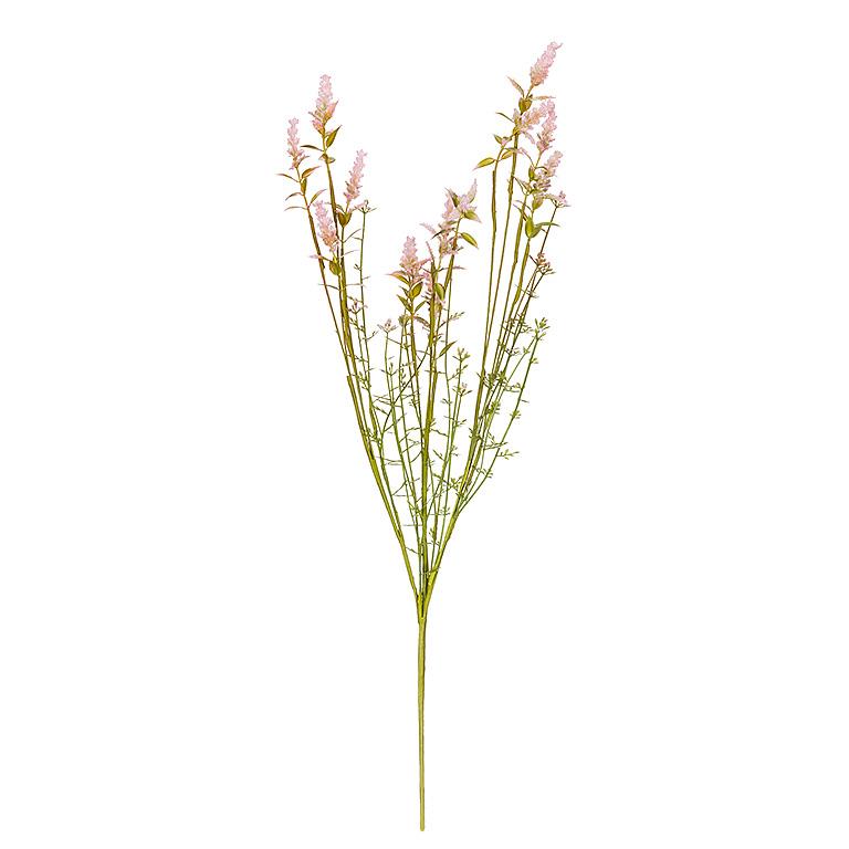 Field Flower Stem