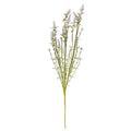 Field Flower Stem