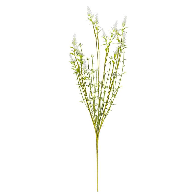 Field Flower Stem