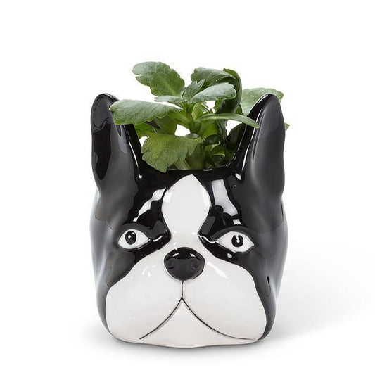 Boston Terrier succulent pot