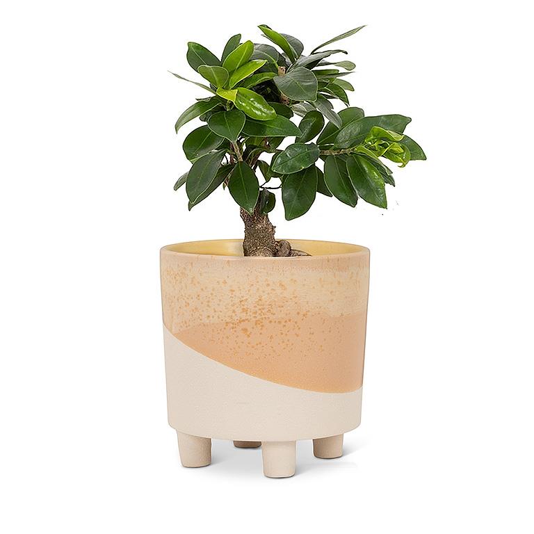 Neutral Abstract Footed Pot 6"