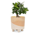 Neutral Abstract Footed Pot 6"