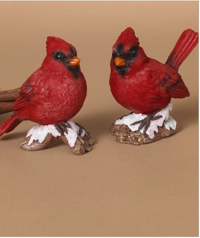 Red Cardinal On Branch