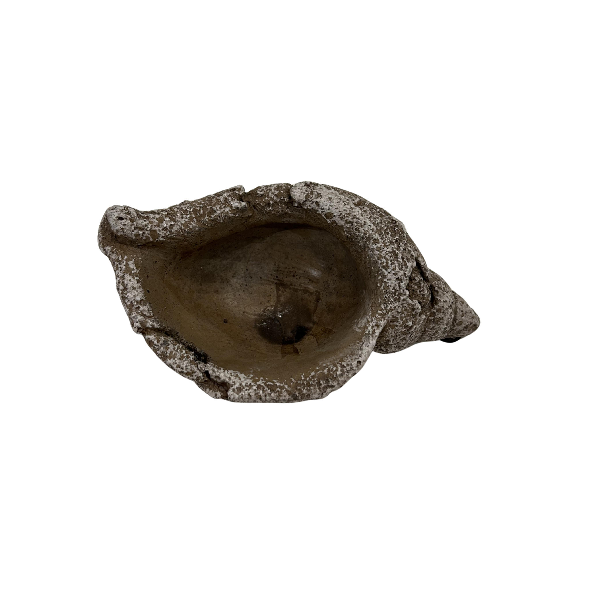 Stone Seashell Pot