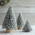 Frosted Pine Trees