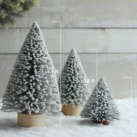 Frosted Pine Trees