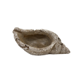 Stone Seashell Pot