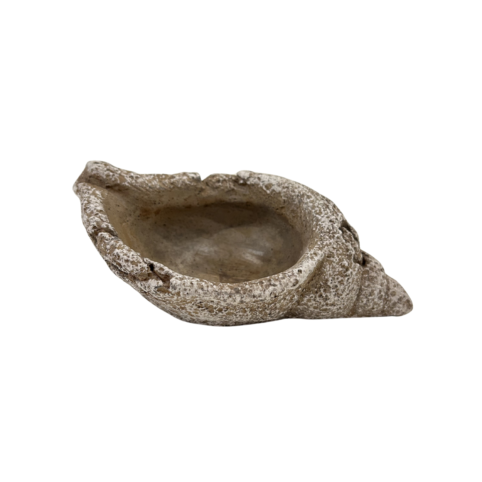 Stone Seashell Pot