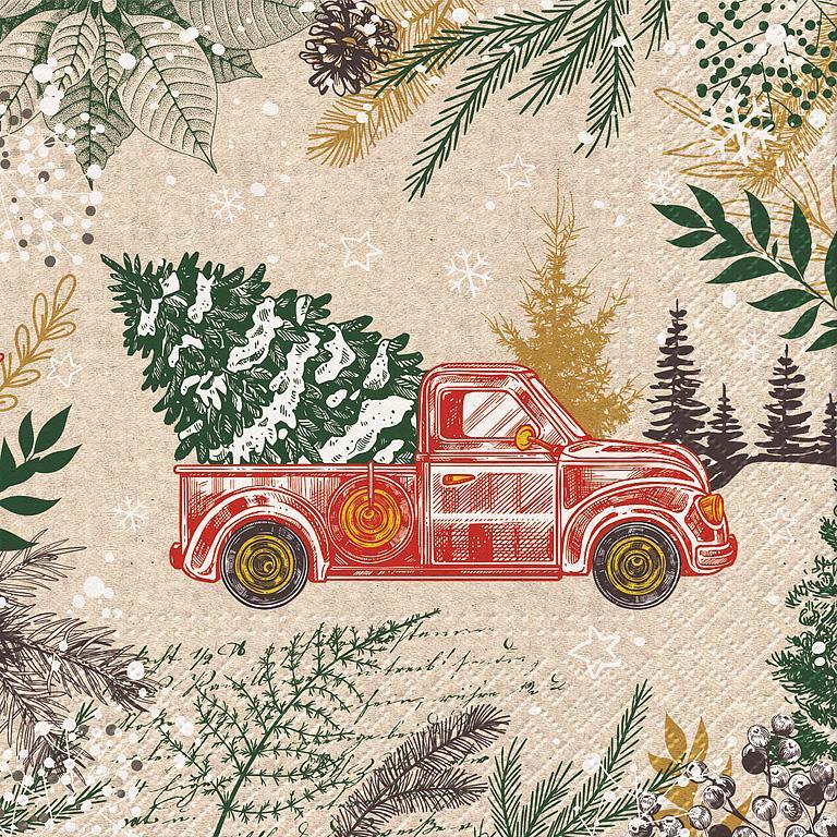 Winter Themed Dinner Napkins