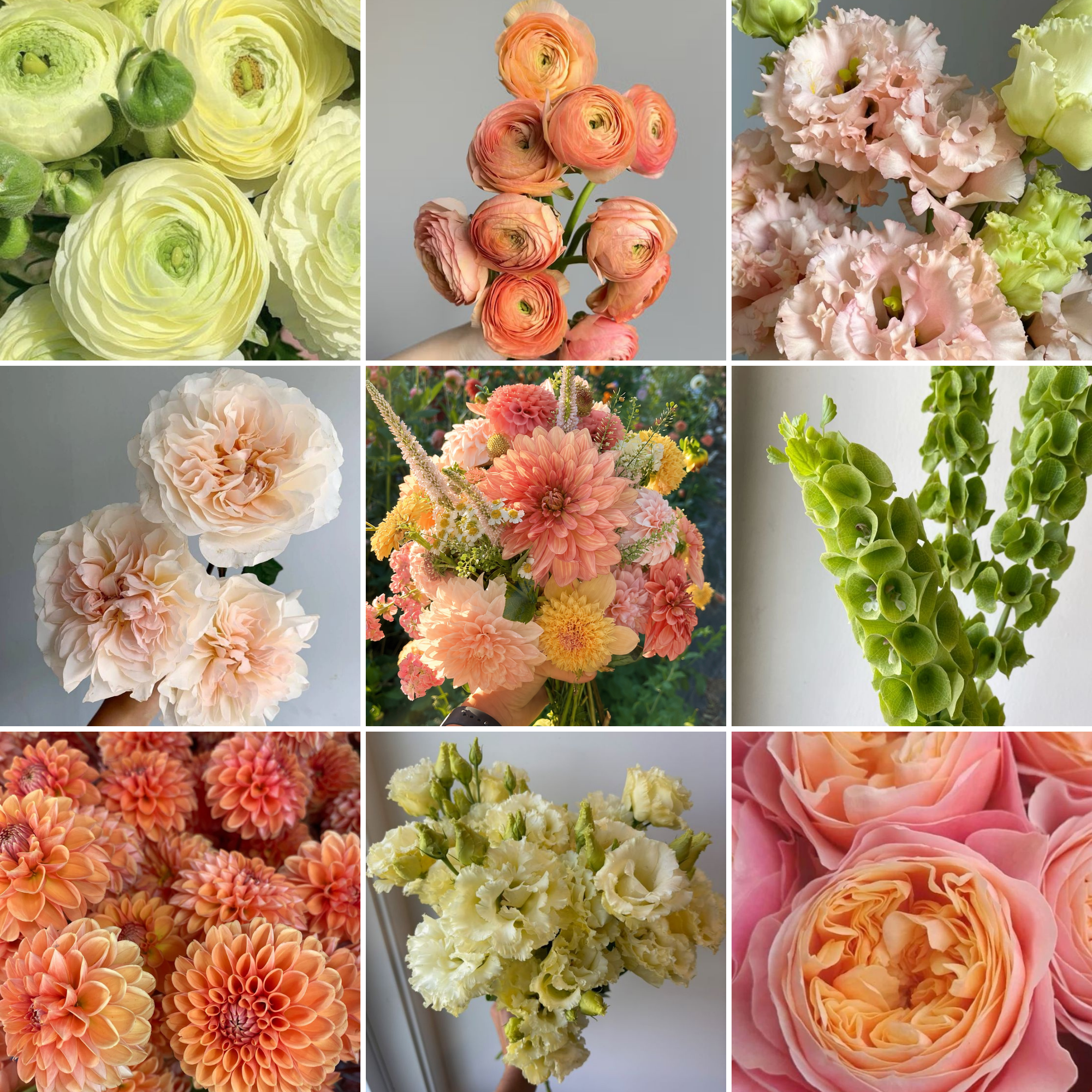 AUGUST Loose Hand-Tied Bouquet