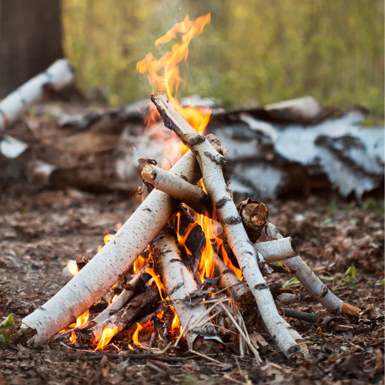 Crackling Birch | Kindled by Harp & Fin