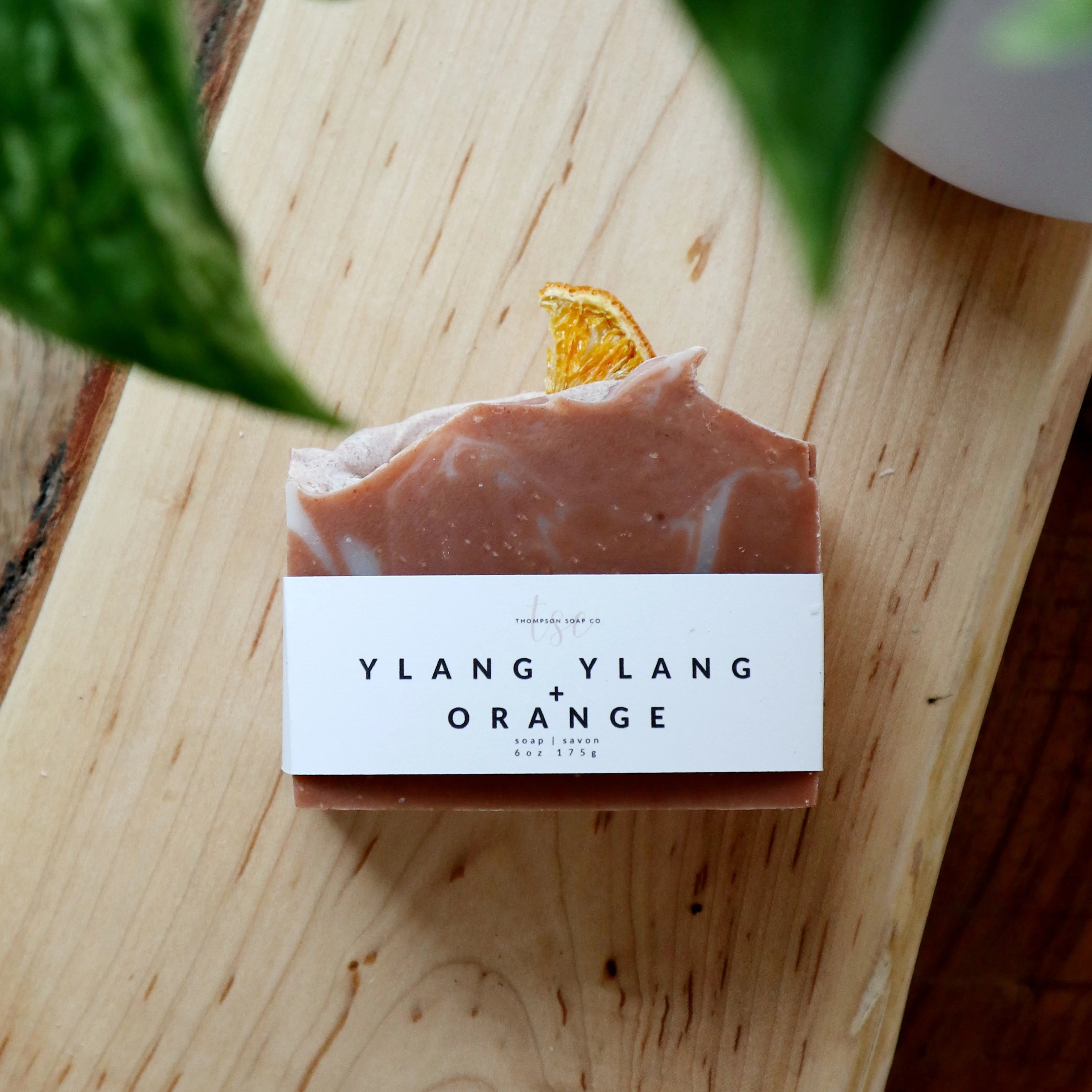 MAXI SOAP BAR - THOMPSON SOAP