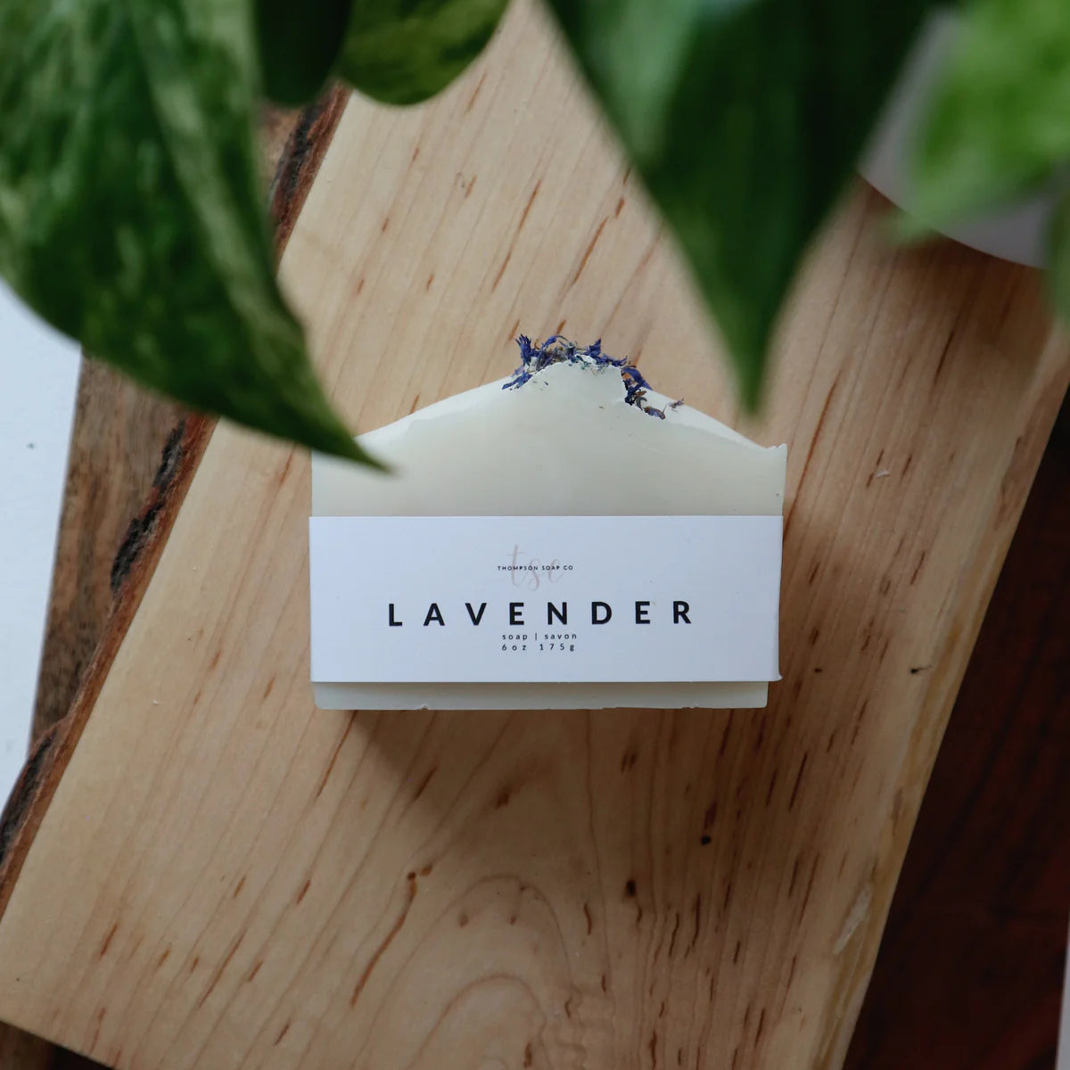 MAXI SOAP BAR - THOMPSON SOAP