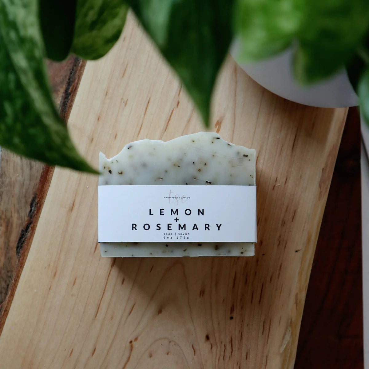 MAXI SOAP BAR - THOMPSON SOAP