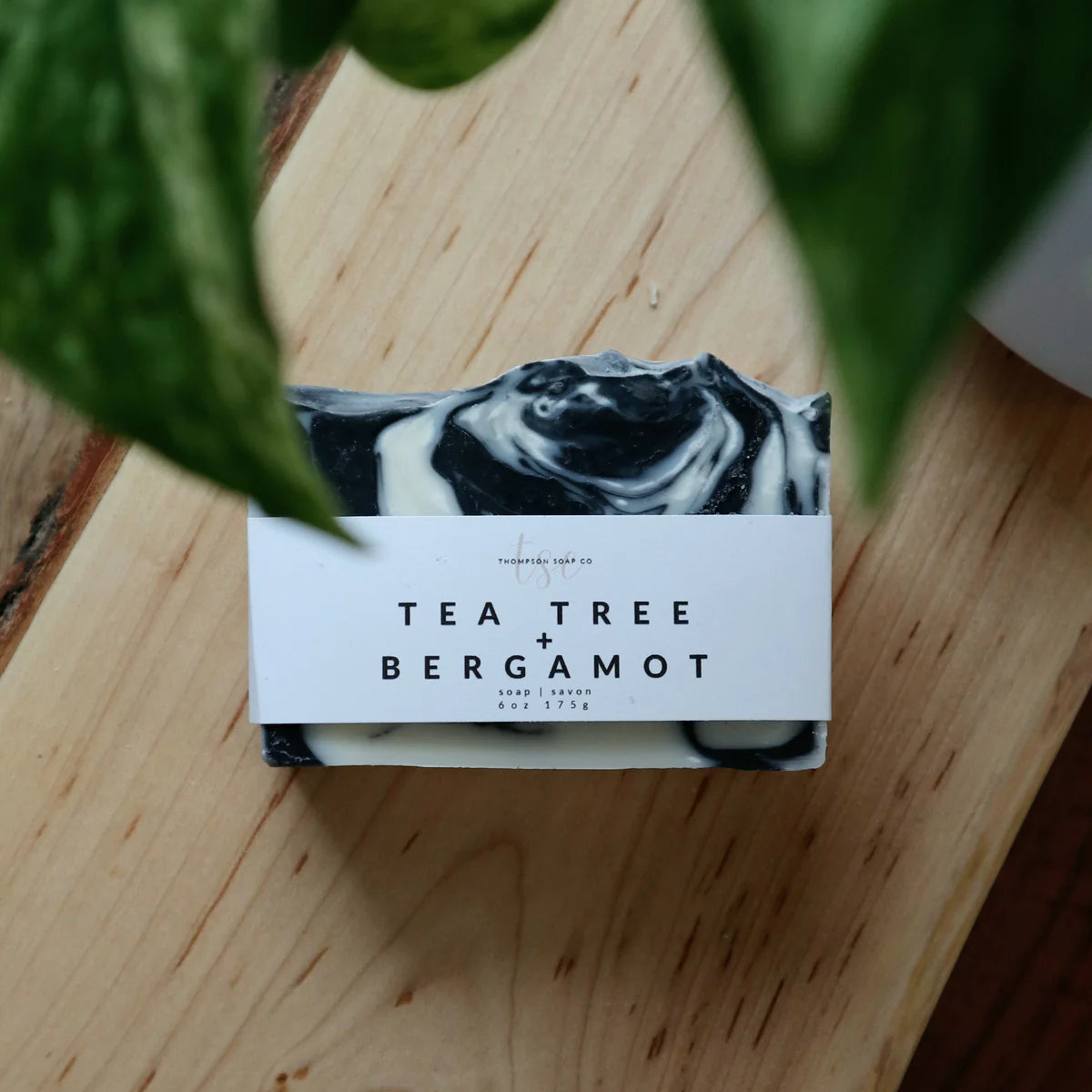 MAXI SOAP BAR - THOMPSON SOAP