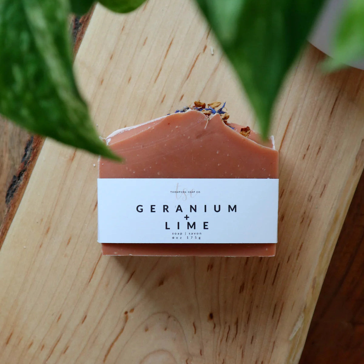 MAXI SOAP BAR - THOMPSON SOAP