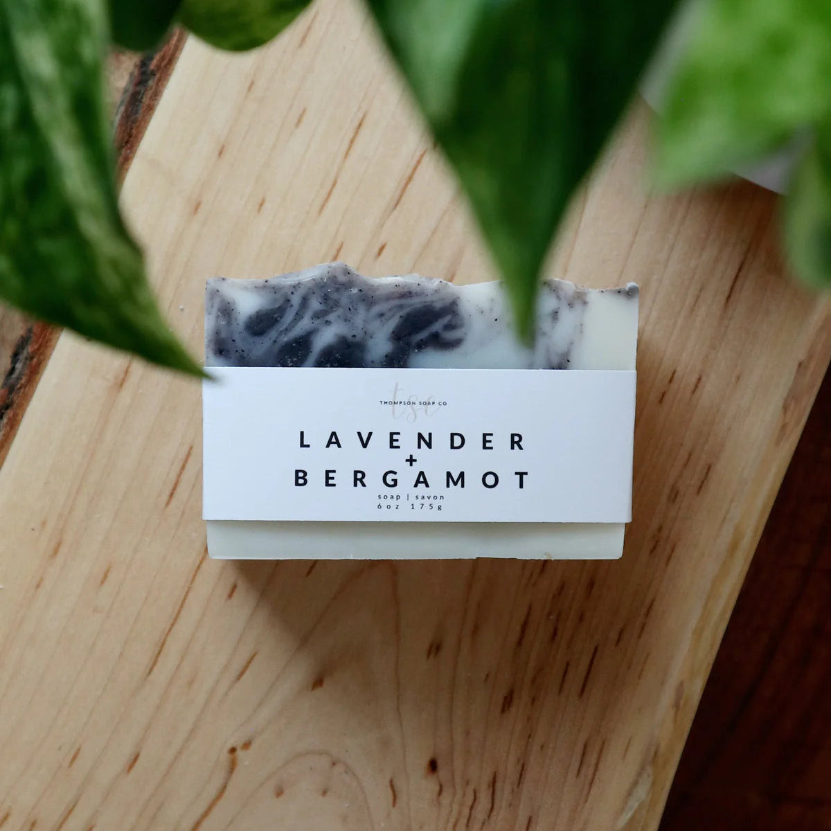MAXI SOAP BAR - THOMPSON SOAP