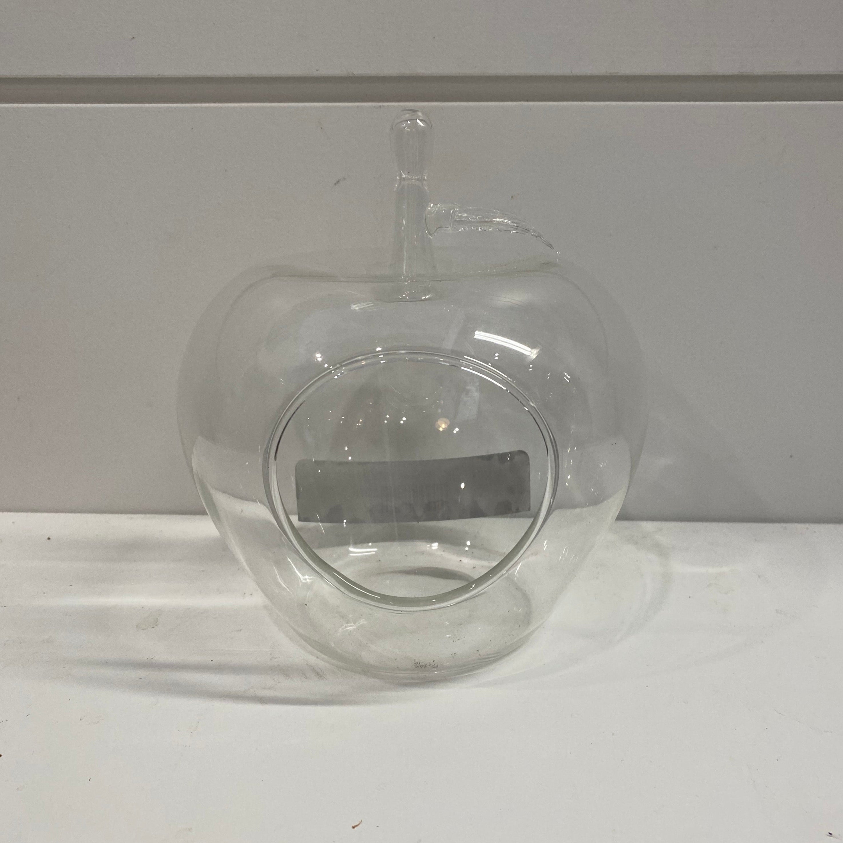 Apple Terrarium - Glass