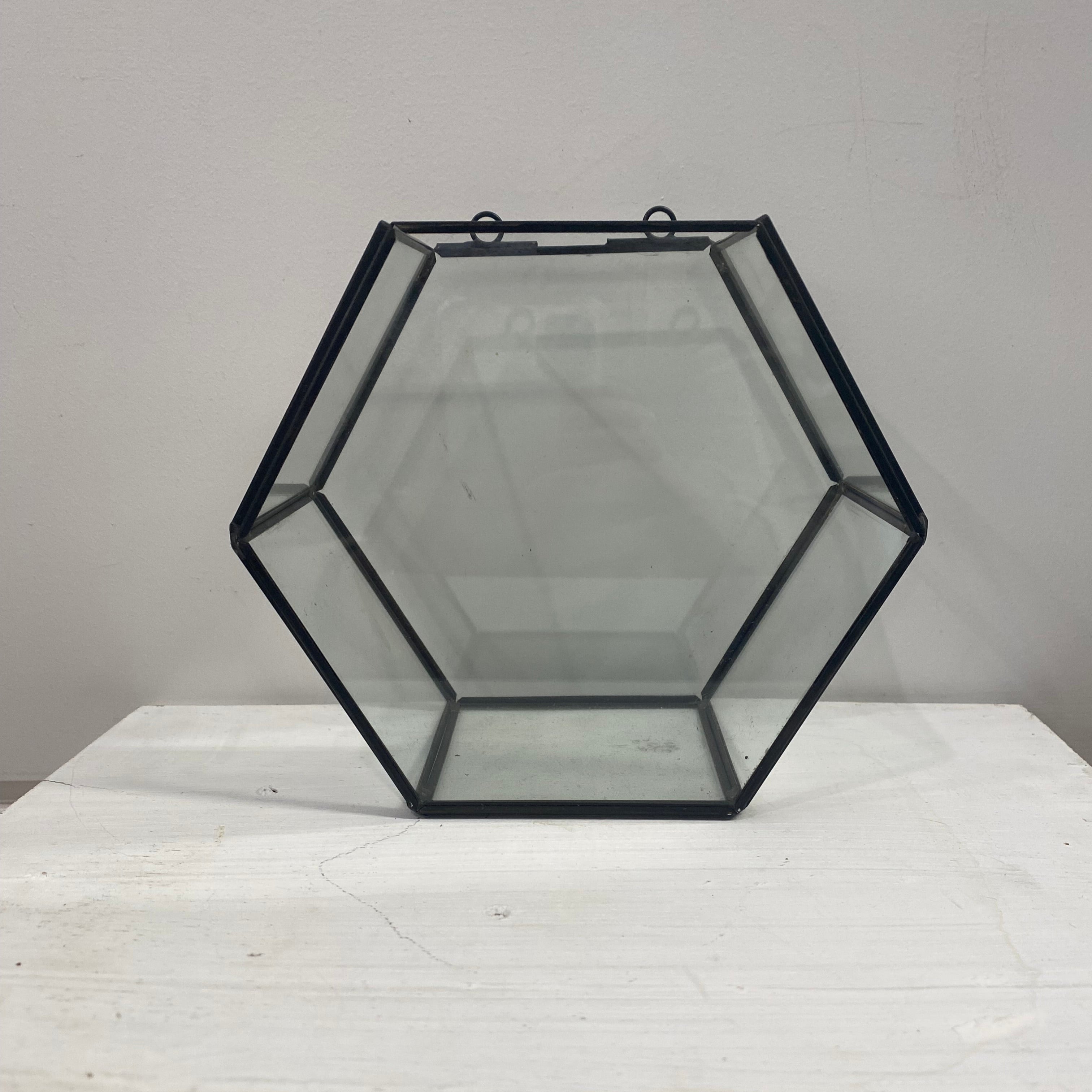 Glass Geometric Terarrium