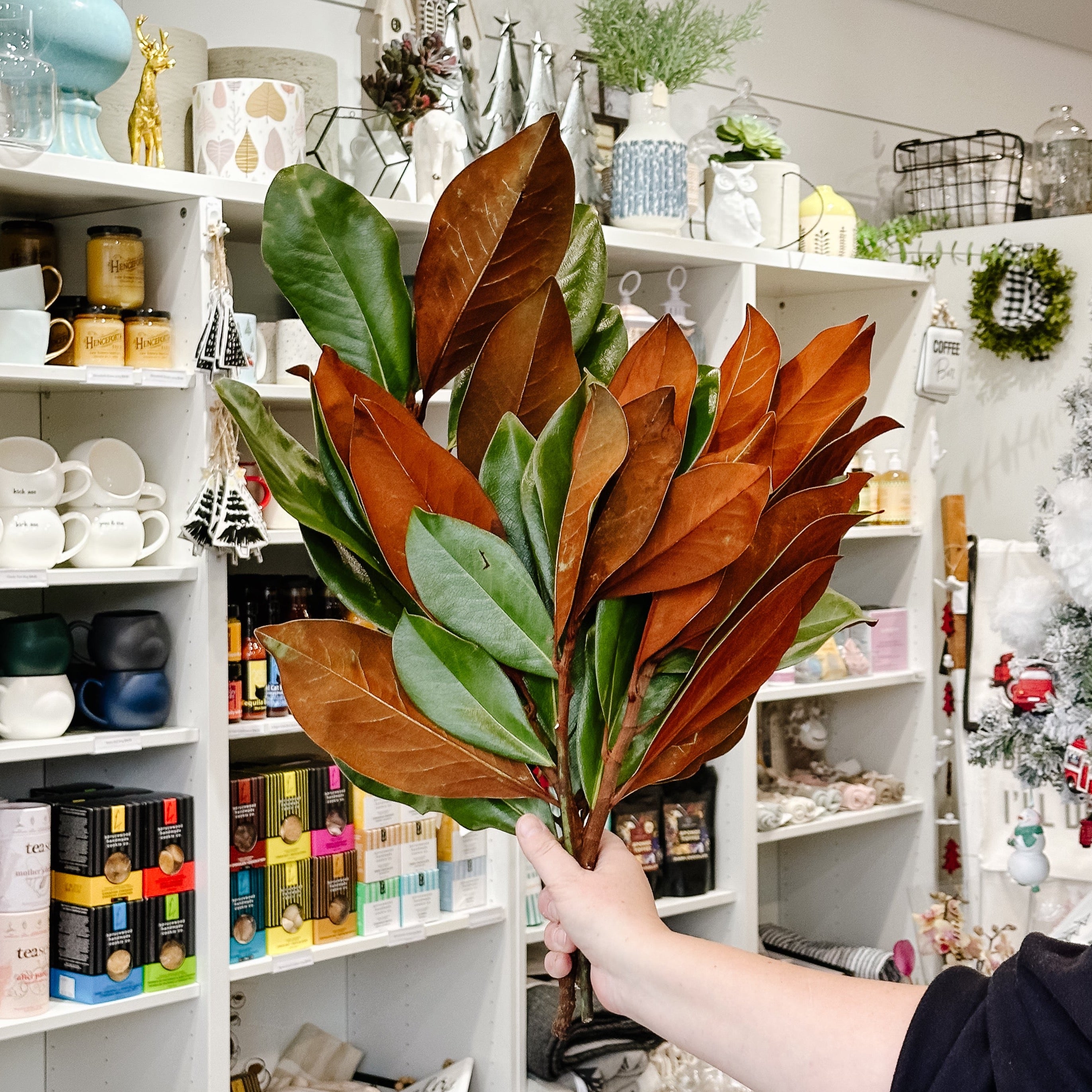 Fresh Magnolia Bunch