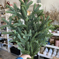Noble Fir Hand-Tied Bunch