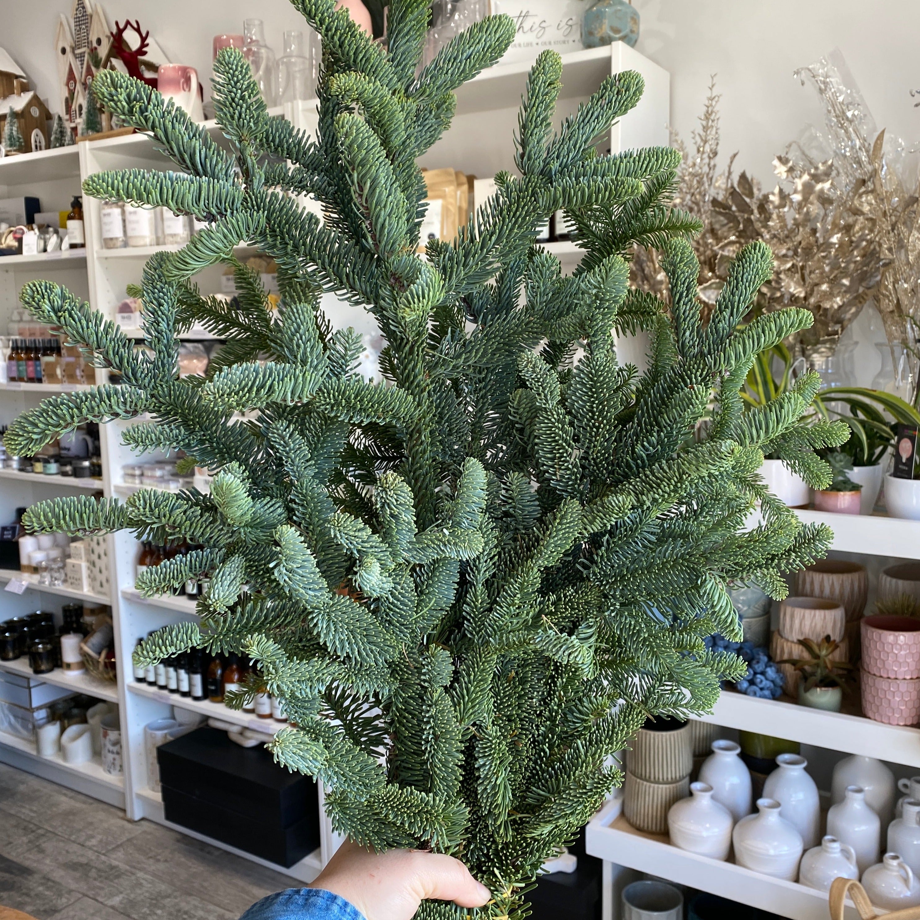 Noble Fir Hand-Tied Bunch