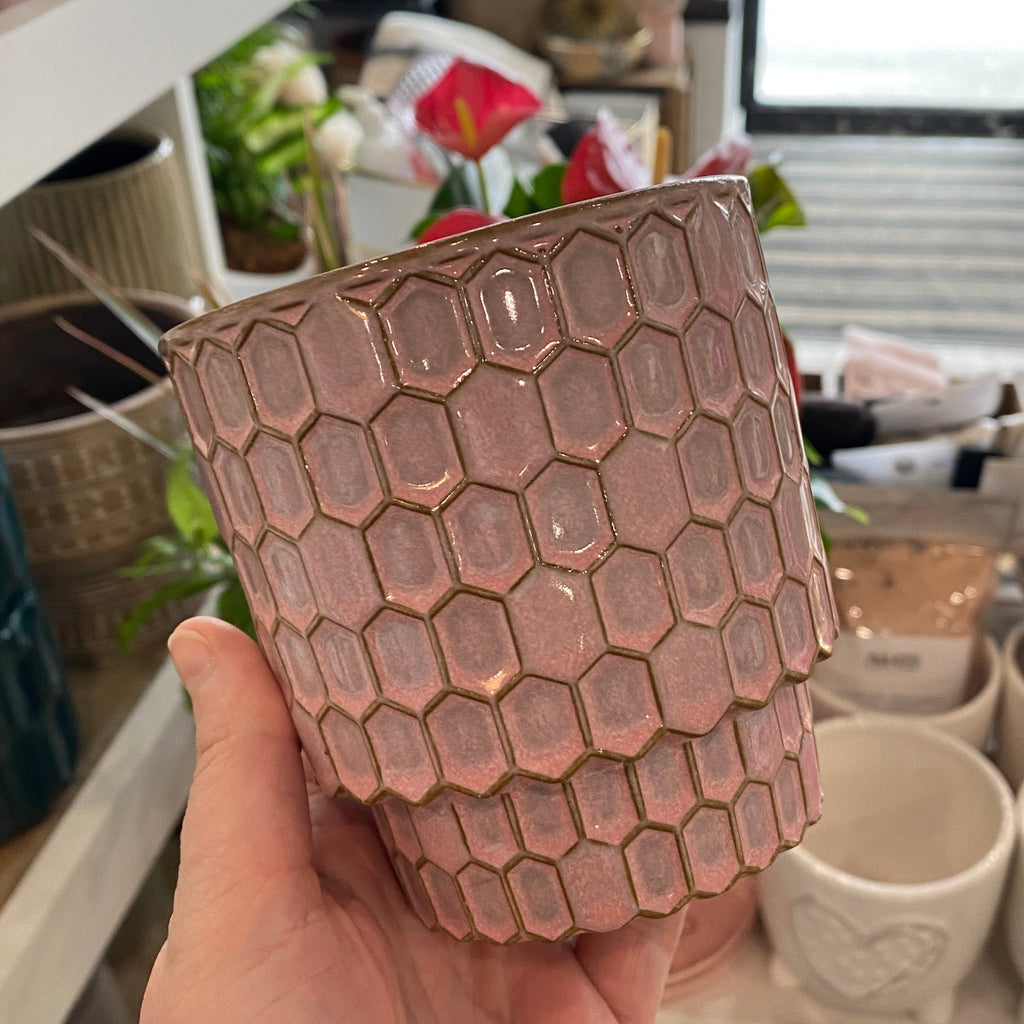 Rosa Pink Textured Pot