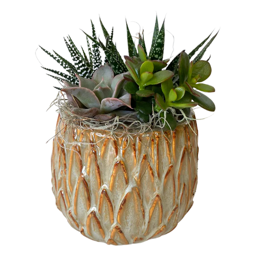 Ceramic artichoke succulent planter