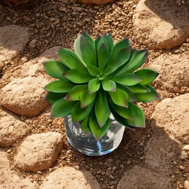 Echeveria Pick - Faux