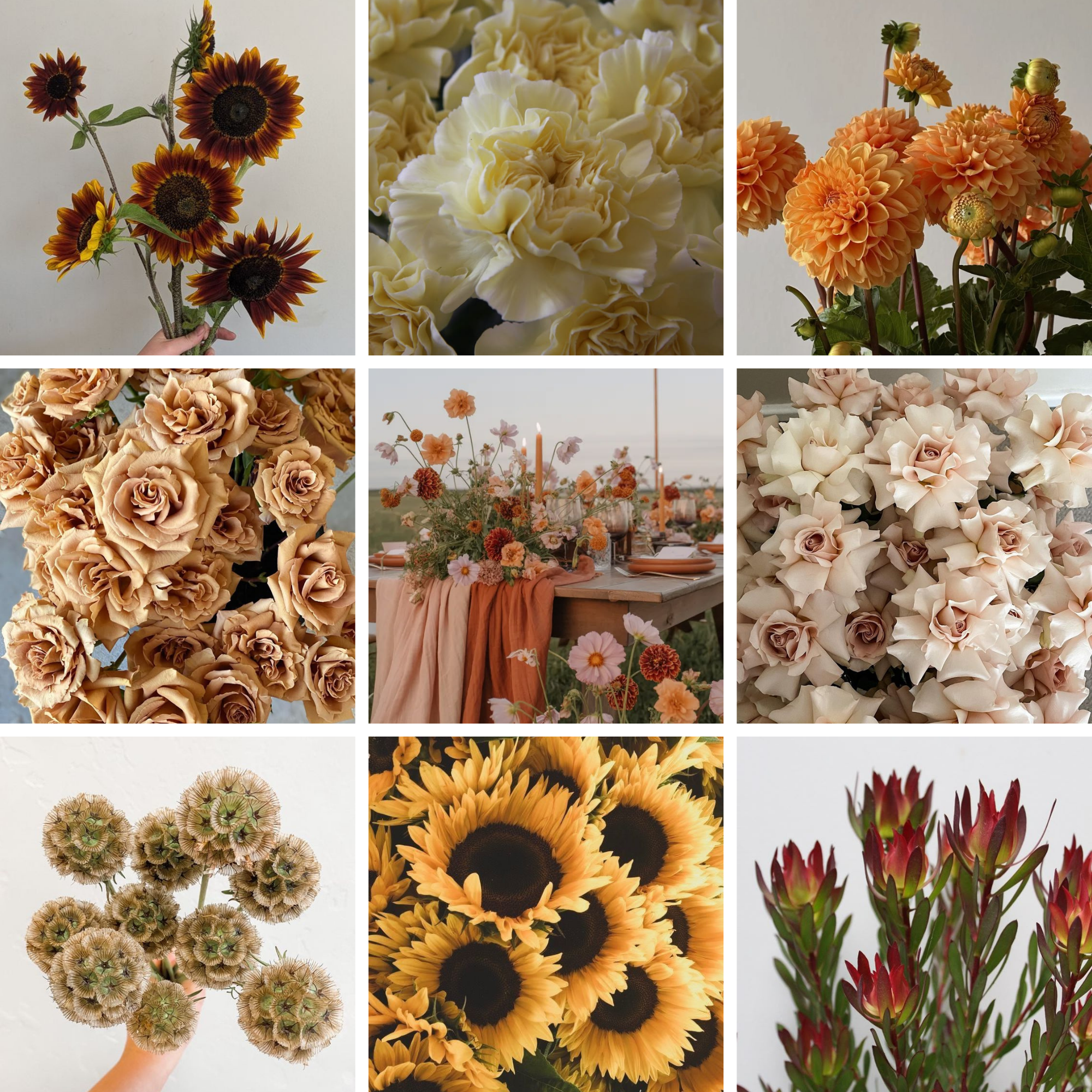SEPTEMBER Loose Hand-Tied Bouquet