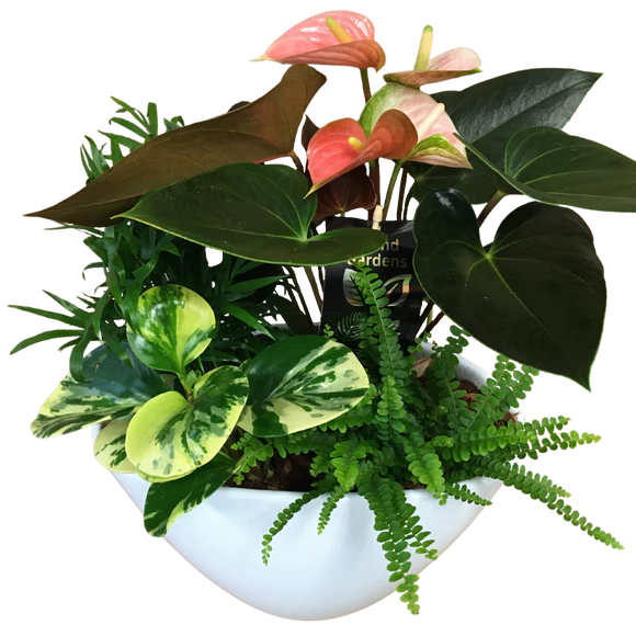 Tropical Ceramic Planter