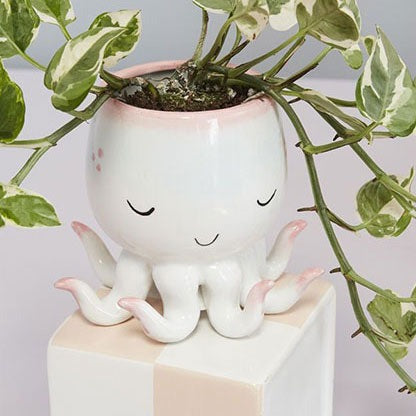 Open Arms Octopus Pot