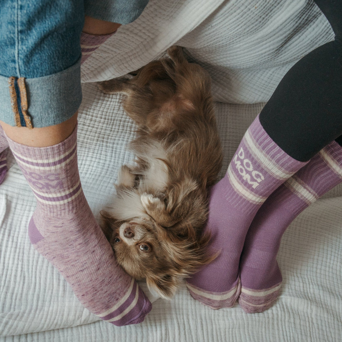 Dog Mom Pima Cotton Socks 2-Pack