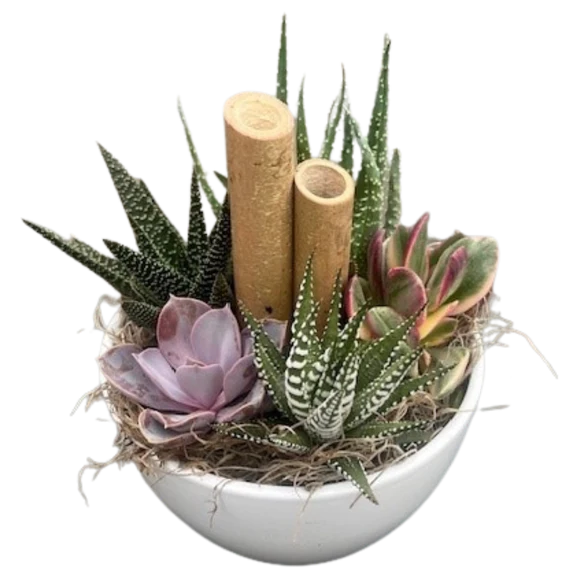 White Succulent Kitty Bowl