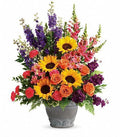 Hues of Hope Arrangement: T279-1B