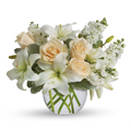 Isle of White Arrangement: T55-3B