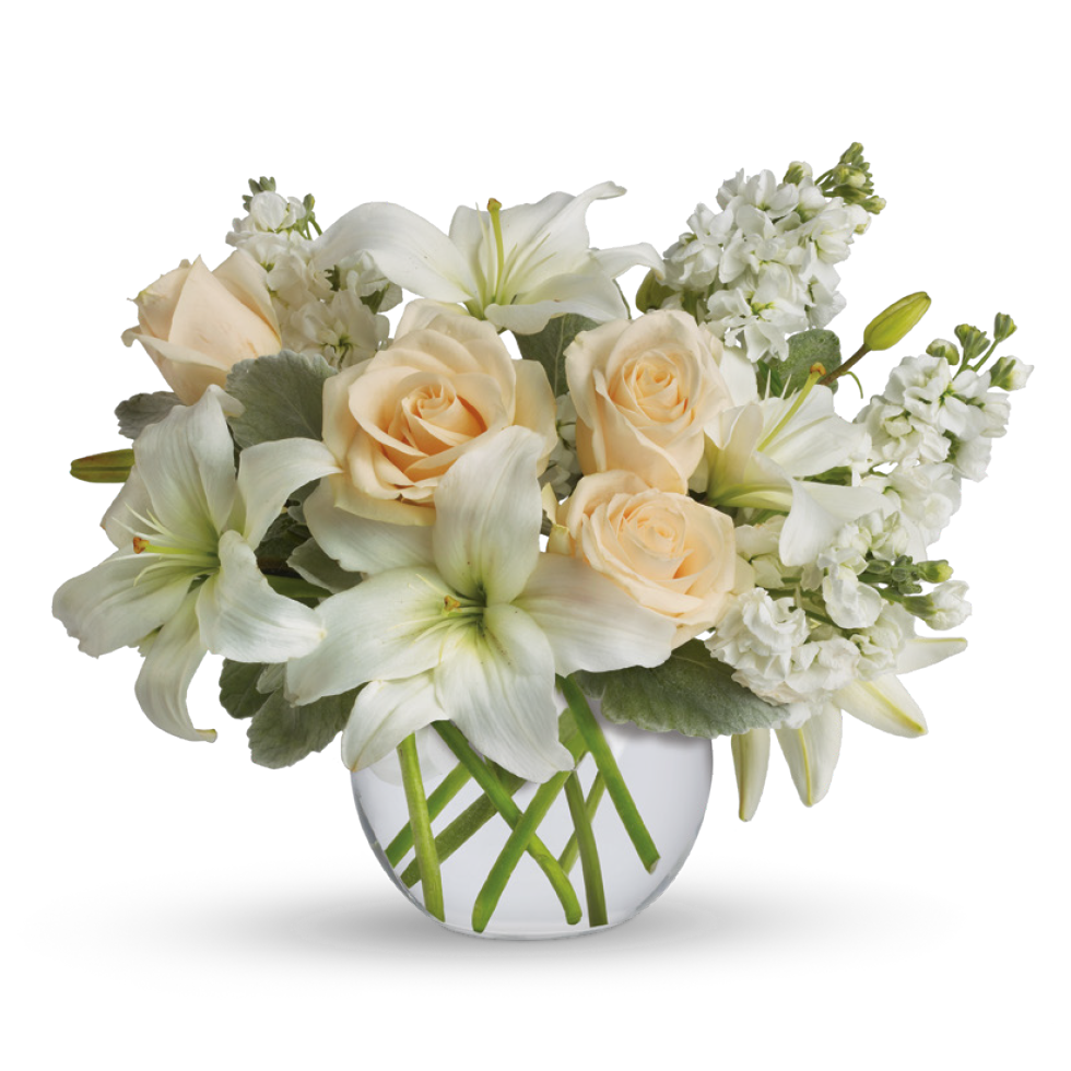 Isle of White Arrangement: T55-3B