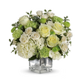 Shining On  Bouquet: T601-2B